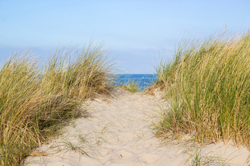 Fototapeta na wymiar Path trough the dunes, Renesse, the Netherlands