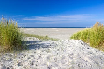 Cercles muraux Mer du Nord, Pays-Bas les dunes, Renesse, Zélande, Pays-Bas