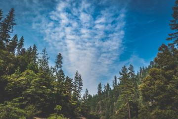 You never know until you edit