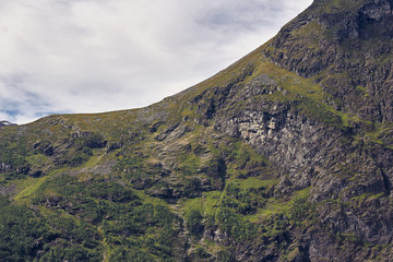 grüne Natur am steilen Hang eines Berges am Geiranger Fjord