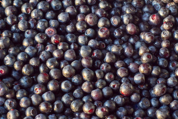 Colorful background of blueberries