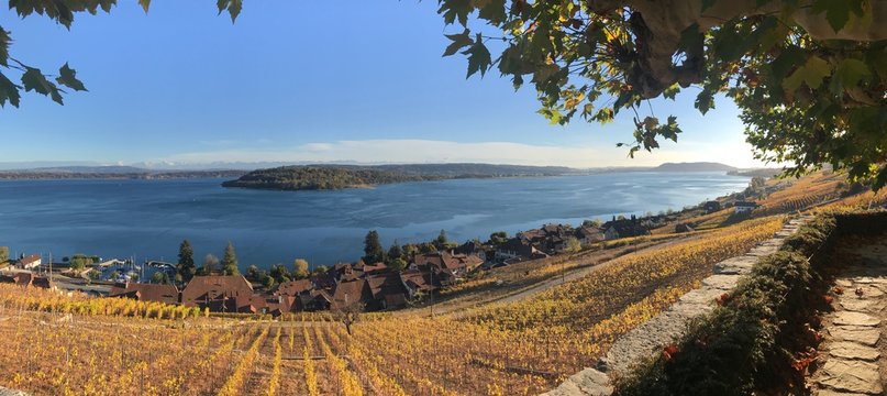 Panorama in Ligerz am Bielersee in der Schweiz