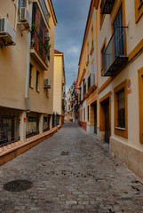 Obraz premium Building exteriors along the narrow streets of Seville, Spain