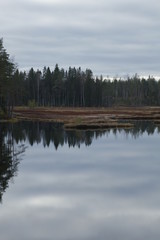Fototapeta na wymiar Autumn in Finland