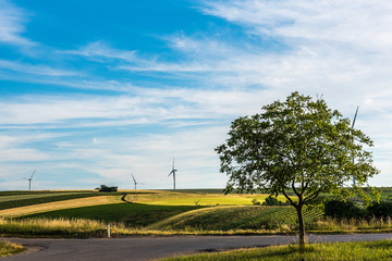 Fototapeta na wymiar landscape with windmill