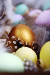 Multicolored easter eggs and feathers.