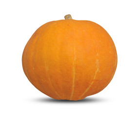 Orange halloween pumpkin