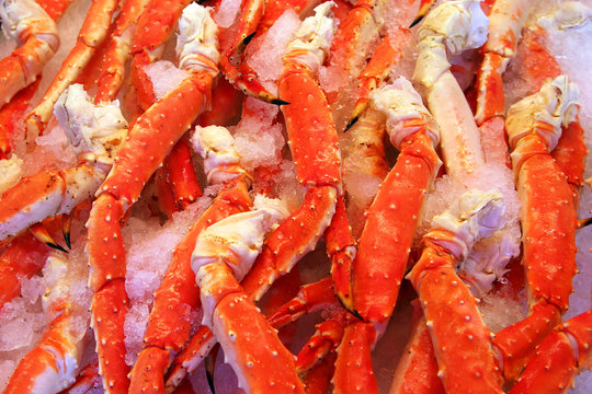 fresh red sea crab claws