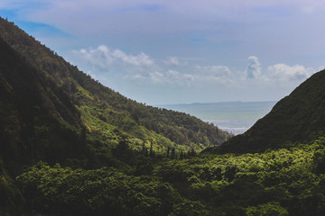 Fototapeta premium Iao Valley State Park