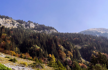 Beautiful mountain view in the early morning time.