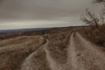 Landscapes in the autumn in cloudy, noir weather. Horizon