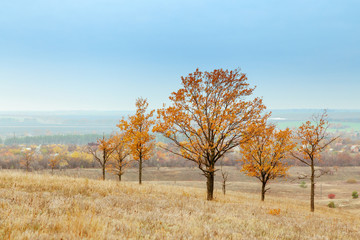 Bright and warm landscapes in the autumn. Hills, fields and trees