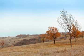 Bright and warm landscapes in the autumn. Hills, fields and trees