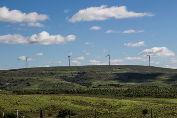 molinos viento