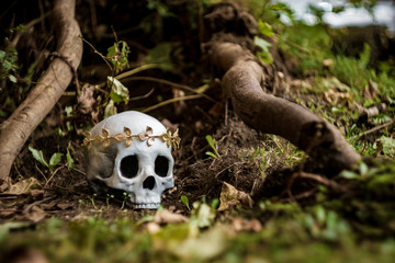 King Queen Skull Crown