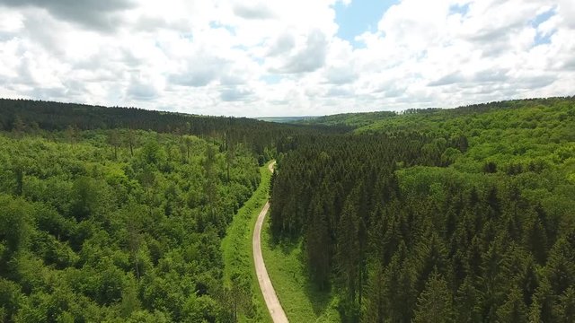 Drone flight over a path in Verdun forest in France. 