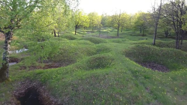 Old ww1 shell holes covered with grass and full of water by drone. Verdun forest