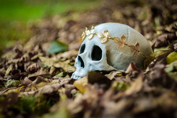 King Queen Skull Crown