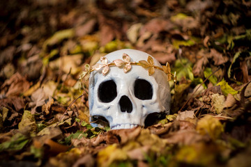 King Queen Skull Crown © Ezume Images