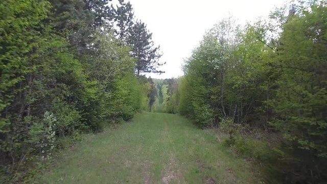 Fast moving drone in Verdun forest France