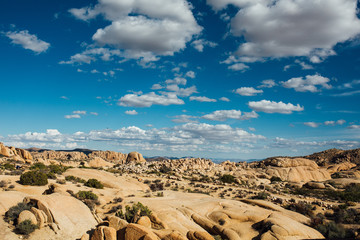 Joshua Tree National Park