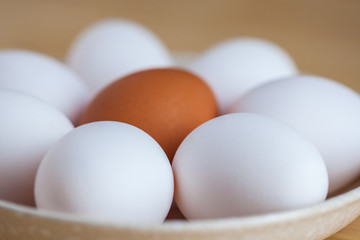 One brown and white eggs in a ceramic dish on a wooden table