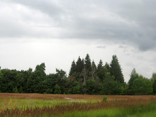 The natural landscape and clouds. Summer.Ukrainian landscape