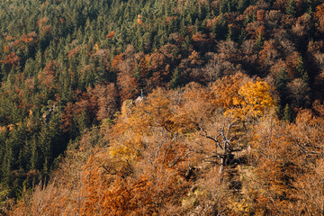 Das Gipfelkreuz am Ilsestein, Ilstetal, Ilsenburg