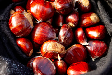 Viele Esskastanien, Maronen gesammelt im Herbst zum Essen geeignet