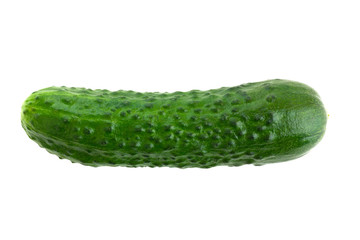 Fresh green cucumber on a white background. One cucumber closeup isolated on white background.