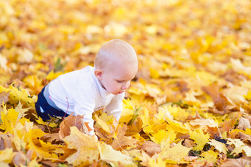 Little baby walking on yellow foliage in autumn park, enjoy beauty and colorful of his first fall season
