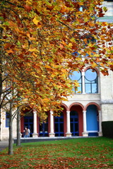 Fototapeta na wymiar Colorful autumnal foliage on tree close up, leavs on green grass, in background beautiful building with big decorated windows and two men in soft focus.