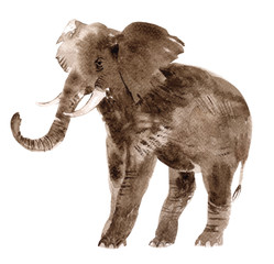 Obraz premium Watercolor elephant isolated on a white background
