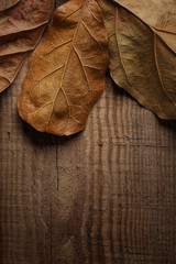 dry leaves on wooden background