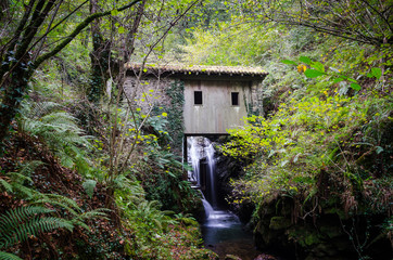 Abandoned flour mill