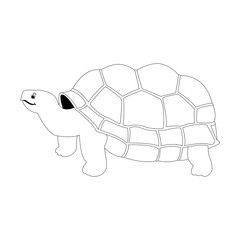 cartoon turtle  vector illustration  lining draw  front 