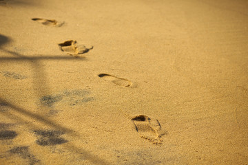 footprints in the sand