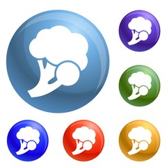 Fresh broccoli icons set vector 6 color isolated on white background