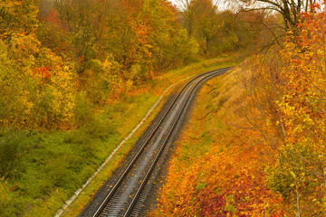 Fototapeta premium Railway leaving in the autumn forest.
