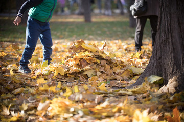 Fototapeta premium Kids playing in the autumn park. Heap of yellow leaves