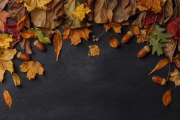 dry leaves on dark background