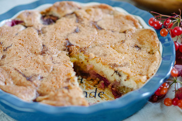 Homemade plum pie, autumn dessert with fresh plums, baking, healthy vegetarian food