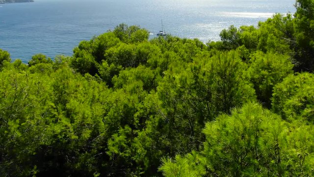 Cala eza, paisaje, bosque, naturaleza,mar barcos,&aacute;rbol