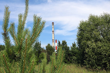 factory pipes and nature	