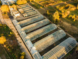 aerial view of glass agricultural greenhouses exterior on summer day f