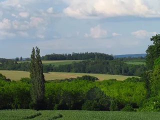 Keuken achterwand Zomer Summer rural hilly countryside with emerald green meadow, tries and clouds in the sky, natural still life, Czech republic  © shalom3