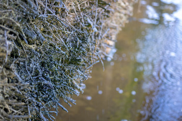 Salt inhalation devices. A huge wooden construction on which water flows with salt to purify the airways.