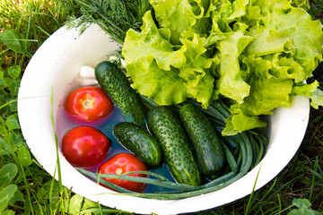 Composition with raw vegetables, in a white iron bowl