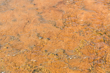 Yellowstone hot spring - close-up - turquoise water, yellow bacteria spots. Natural abstraction