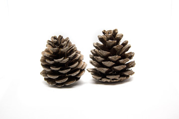 pine, cone, isolated, christmas, nature, tree, decoration, brown, white, fir, seed, pinecone, pine cone, winter, autumn, xmas, holiday, forest, season, object, coniferous, branch, macro, cones, plant